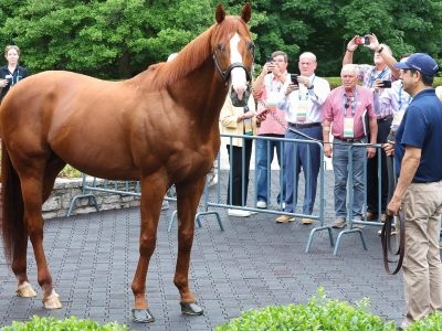 Horse presentation during the SLC 2026 farm tour .